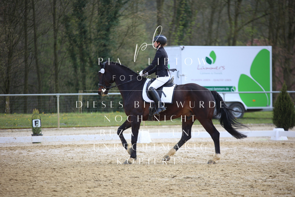 IMGT5402 | pl-fotografie