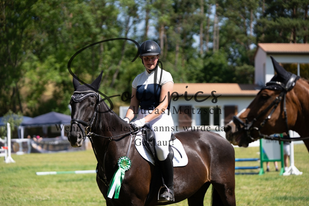 A7V05772 | Pferdefotograf