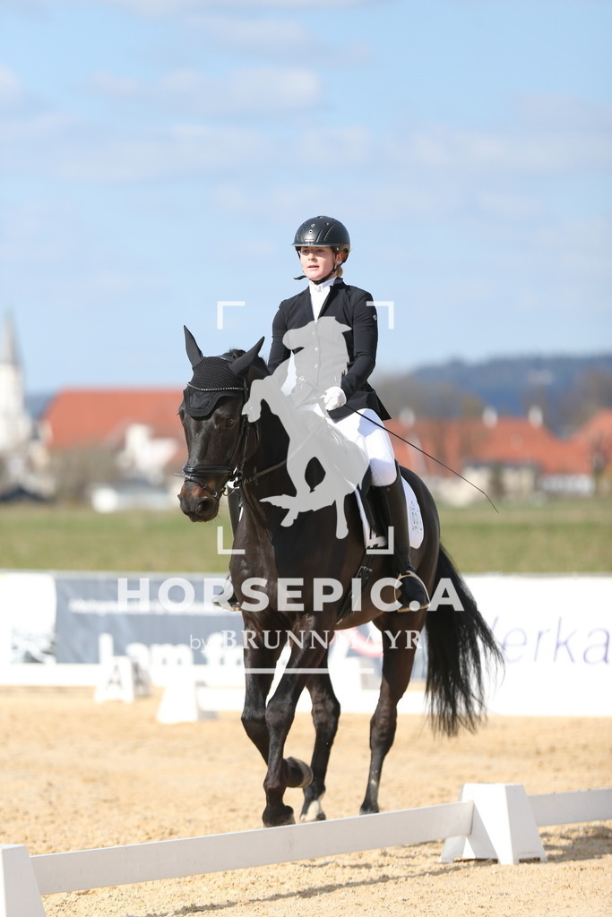 AS8V1829 | Willkommen bei Brunnmayr - Design & Fotografie – Ihrem Spezialisten für Reitturniere und Pferdeveranstaltungen in Oberösterreich, Salzburg und Bayern! Seit über 17 Jahren sind wir leidenschaftlich dabei.