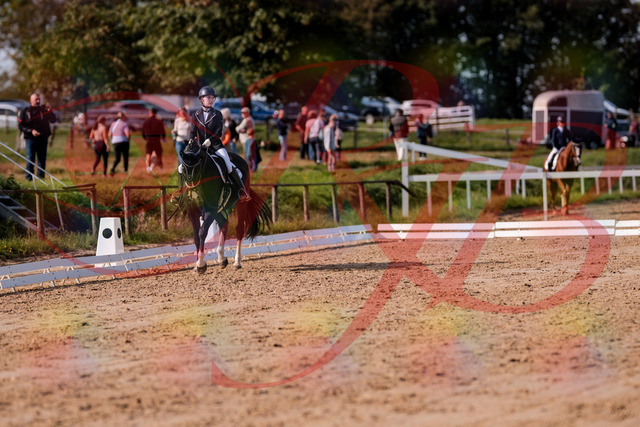 2026_10_03_Siefer-Hof_121552_Z81_17683909 | Professionelle Reitsport-, Turnier- und Eventfotografie von Robert Broda. Galerien mit ausgewählten und bearbeiteten Bildern direkt online ansehen und bestellen.