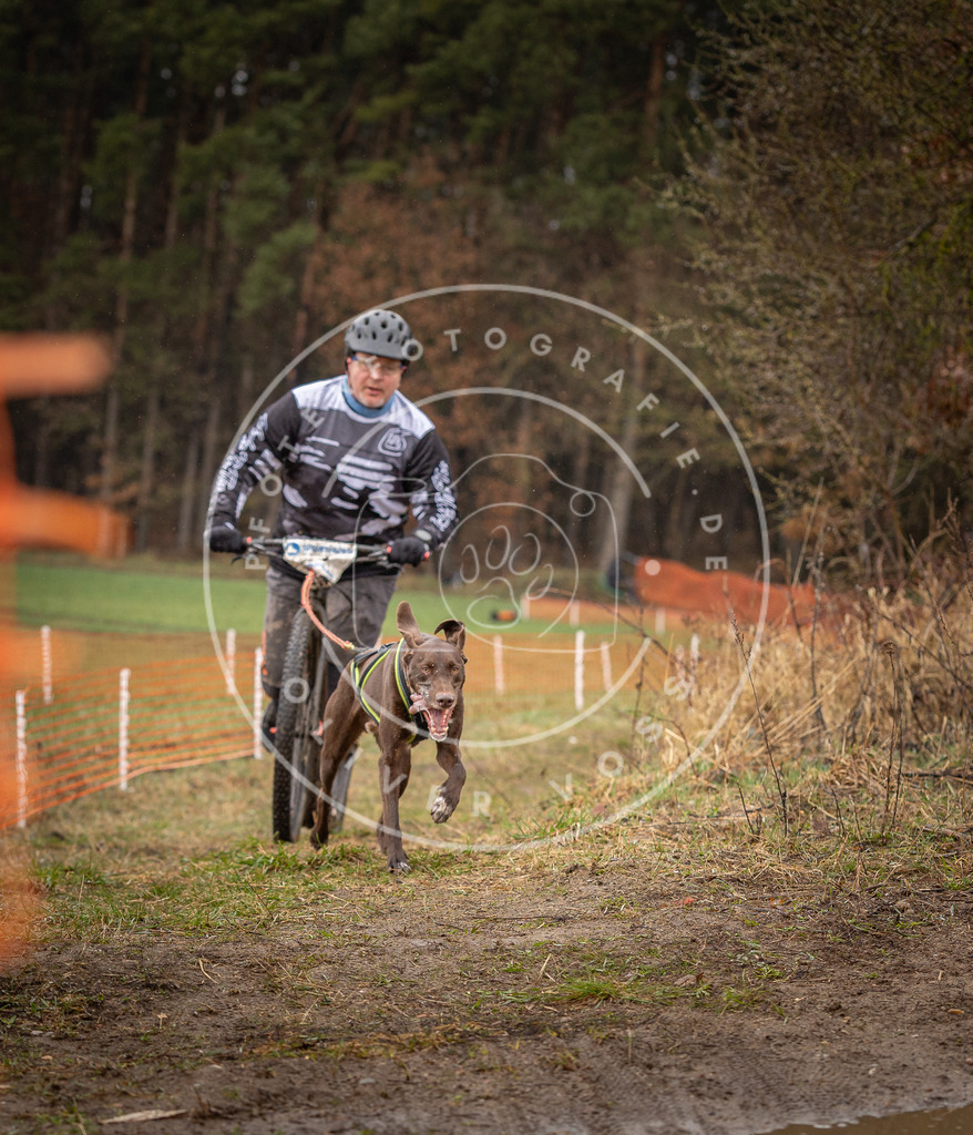 DV3A9447 | Hundefotografie, Tierfotograf, Pfotenfotografie, Fotoshooting Hund, Hunde Portrait, Hundesport, Hundeportraits, Heideshooting, Hunde, Sportfotograf, Hundefotograf, Turnierhundsport, THS,  - Realisiert mit Pictrs.com