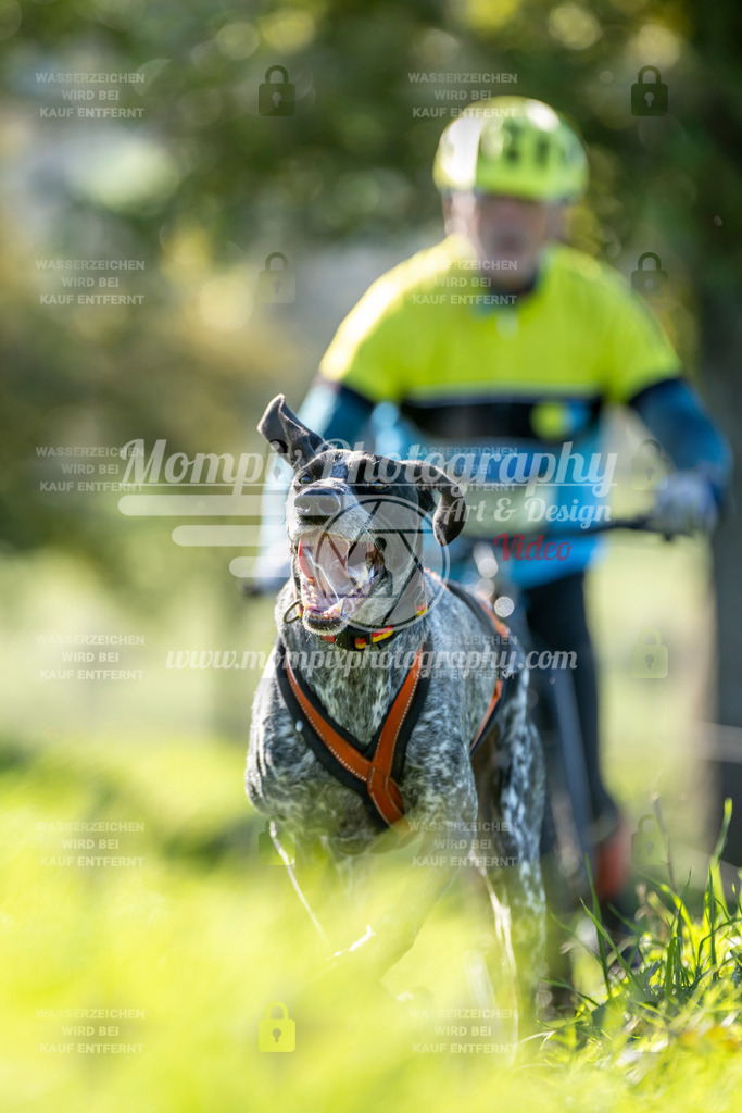 MompixPhotography_20TSB_E3_DS1-60 | PayLife