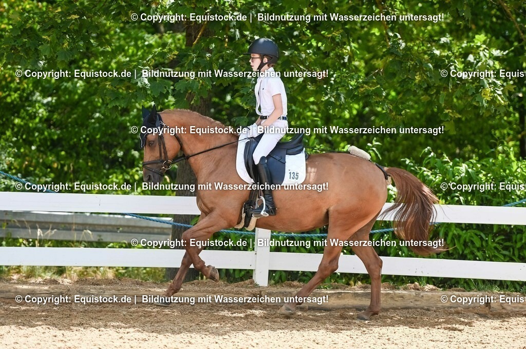 20230715_09_Dressur-WB_0420 | equistock