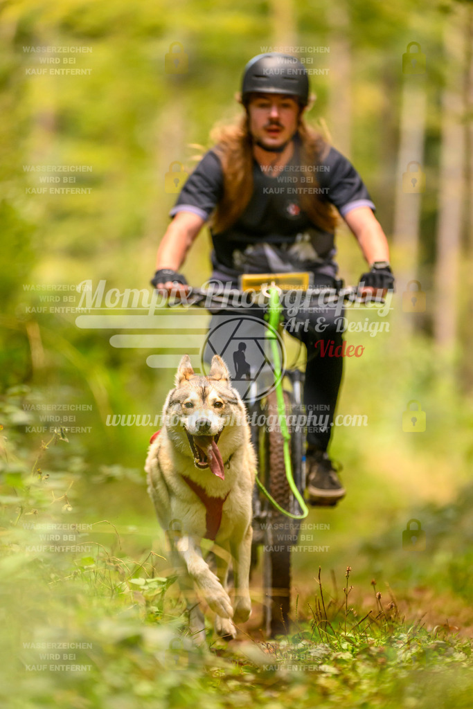 MompixPhotography_Yens2025_B2-118 | PayLife