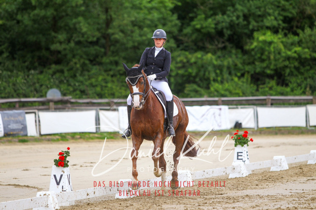 DKP47504 | Turniersportfotografie; Pferdefotografie; Dressurfotografie