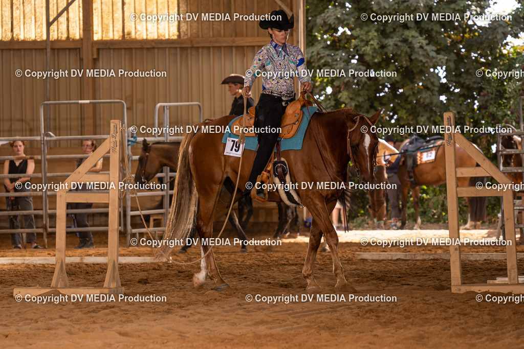 NID00569 | dv-media-shop - Realisiert mit Pictrs.com