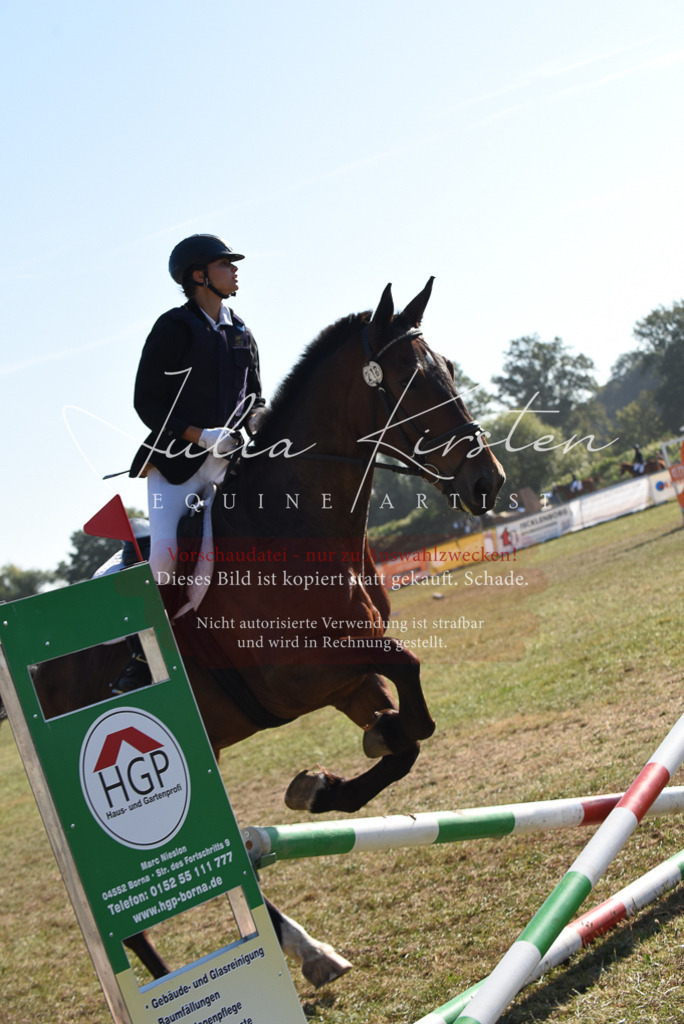 DSC_5785 | Pferde- und Turnierfotografie in Westsachsen. Pferdeportraits, Auftragszeichnungen und intuitive Kunst.