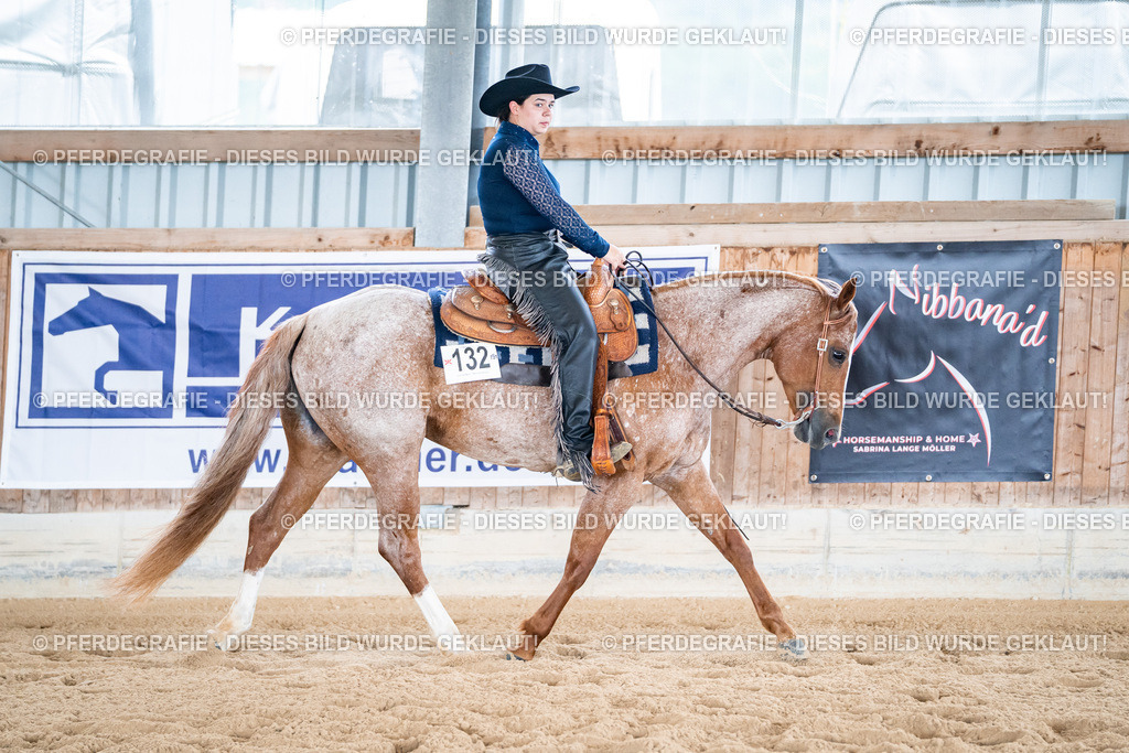 DSC02033 | Pferdegrafie