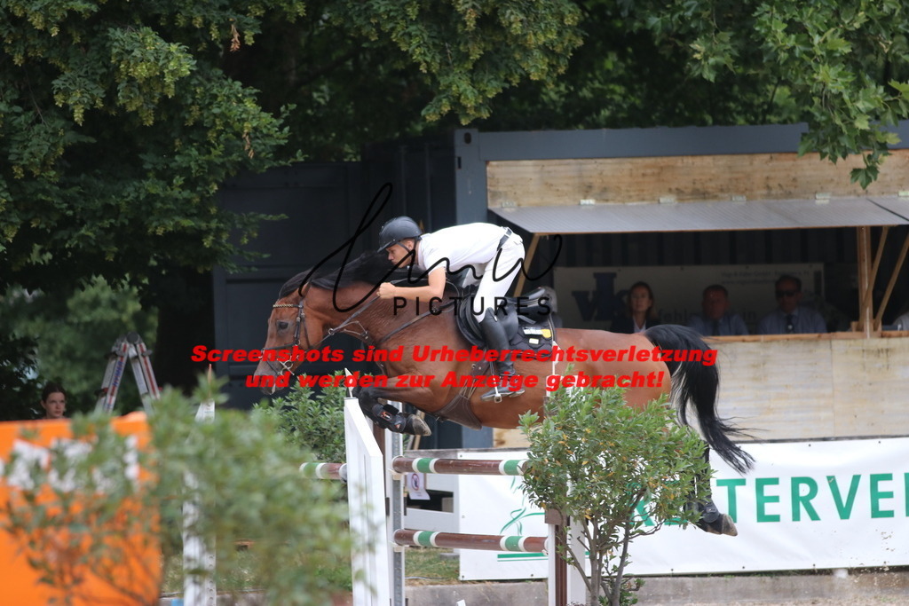 IMG_8130 | lmwpictures - Realisiert mit Pictrs.com