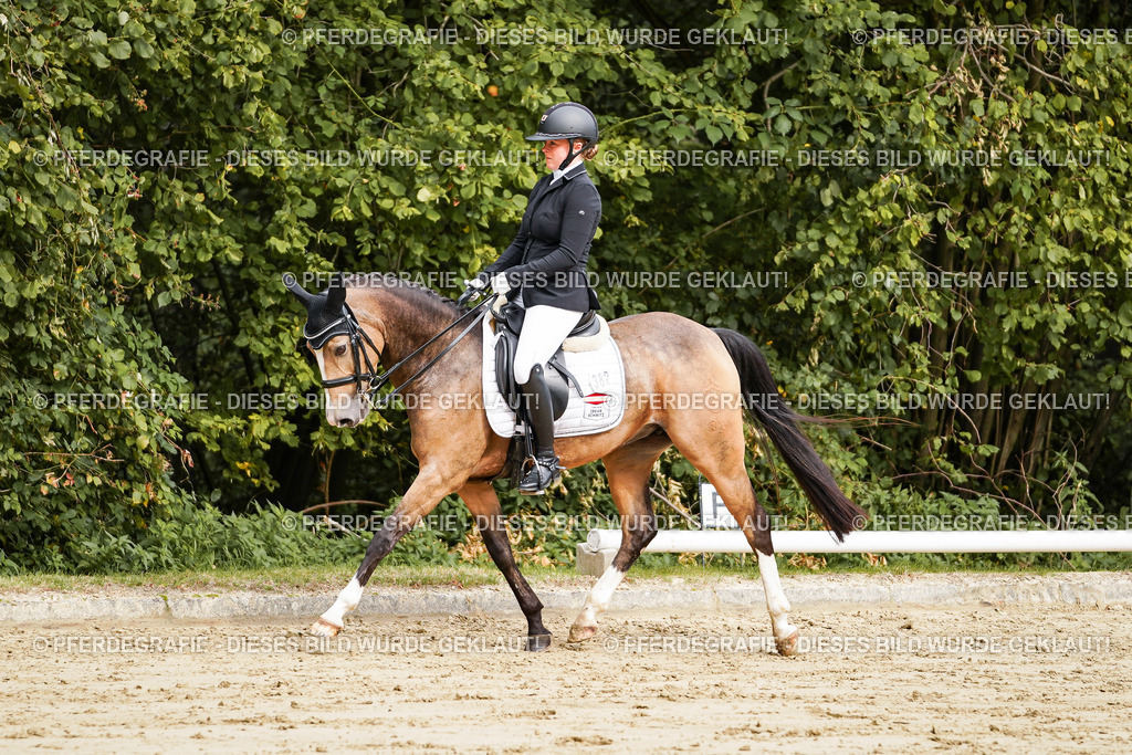 DSC02441 | Pferdegrafie