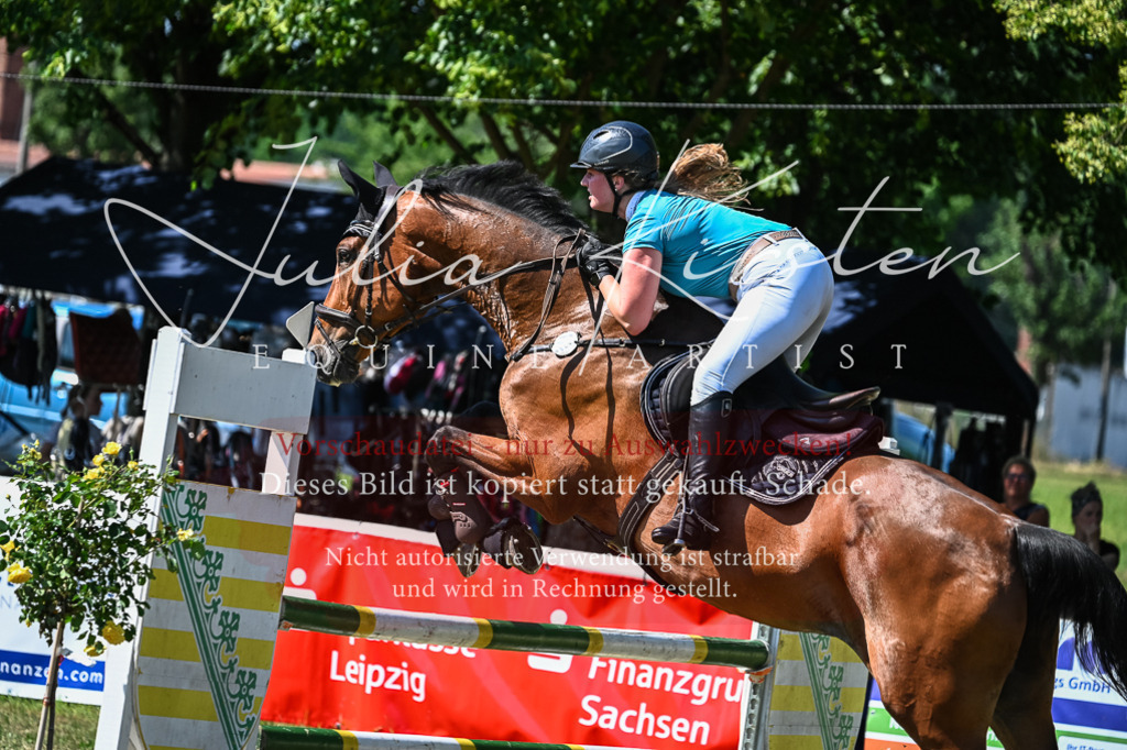 DSC_1519 | Pferde- und Turnierfotografie in Westsachsen. Pferdeportraits, Auftragszeichnungen und intuitive Kunst.