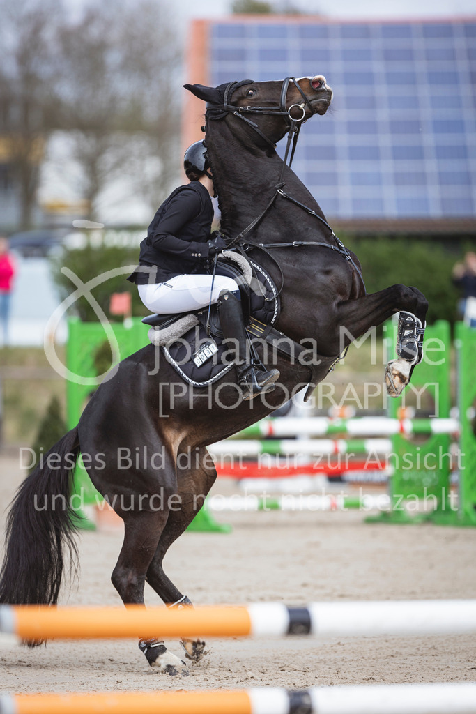 250419_Frühlingsfest_Stil-A2-1-516 | Deine schönsten Turniermomente als professionelle Fotos! Entdecke hochwertige Pferdesport-Fotografie im Online-Shop. Jetzt Fotos finden & bestellen!