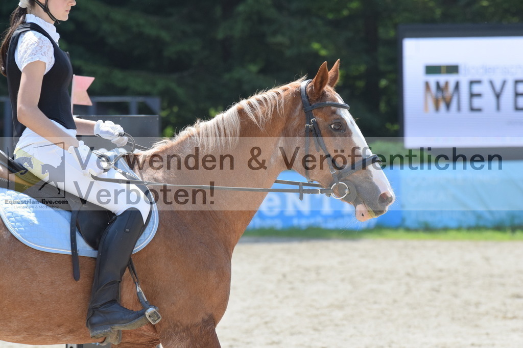 DSC_0043 | equestrian-live-com