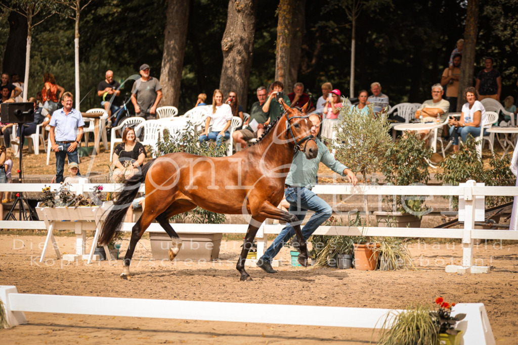 11.So00030 | Leoni Ertmer Photography - Realisiert mit Pictrs.com