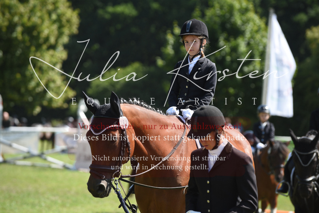 DSC_9790 | Pferde- und Turnierfotografie in Westsachsen. Pferdeportraits, Auftragszeichnungen und intuitive Kunst.