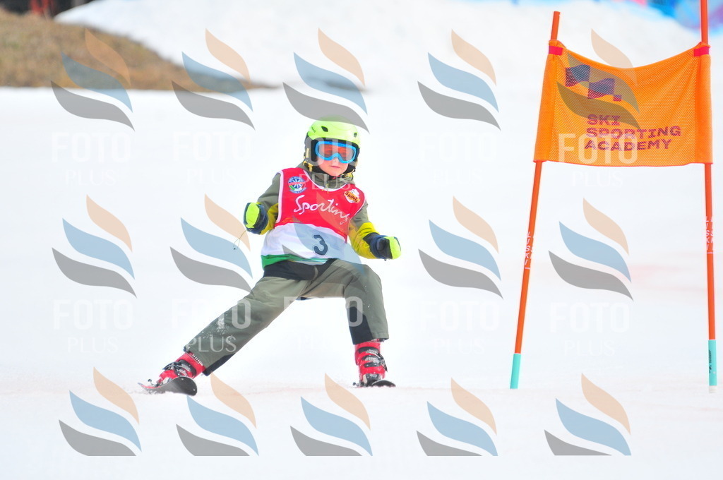 C0606 | holidayphoto