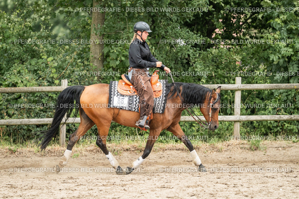 DSC04402 | Pferdegrafie