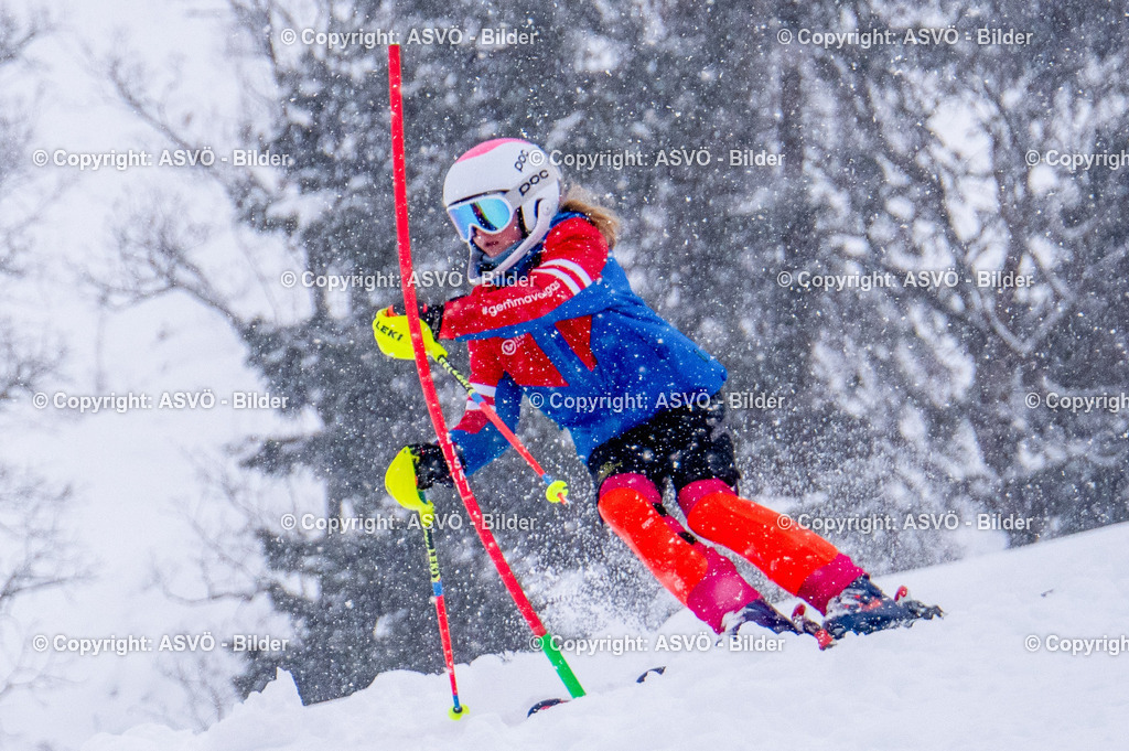 ASVÖ_ Skiclub Saalbach Hinterglemm_ 17.02.2026-59 | 17.02.2026, Saalbach, AUT, ASVÖ und Ski Austria 2026 im Bild TeilnehmerSkiclub Saalbach HinterglemmFotos ©: ASVÖ, Harald B.Bearbeitung ©: Harald Dostal / fodo.media - Realisiert mit Pictrs.com