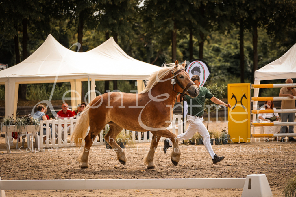 4.Sa00071 | Leoni Ertmer Photography - Realisiert mit Pictrs.com