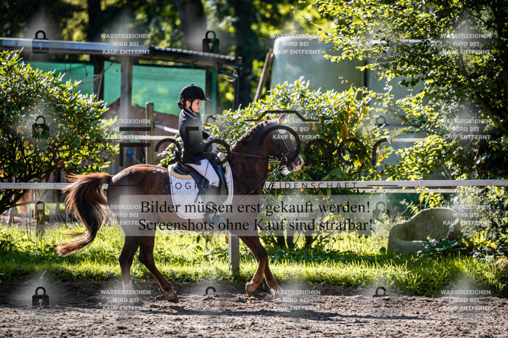 2026-10-Helle-20-4-0018 | Entdecke hochwertige Reitturnierfotos von Foto Oger. Professionell, emotional und authentisch – jetzt Lieblingsmomente im Shop bestellen.Deutschlandweite Turnierfotografie. - Realisiert mit Pictrs.com