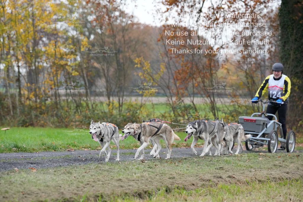 Visbeck_Sa_D4_6-3 | stephaniefillaphotographie - Realisiert mit Pictrs.com
