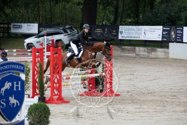 2B4A2311 | pixelfaenger - Realisiert mit Pictrs.com