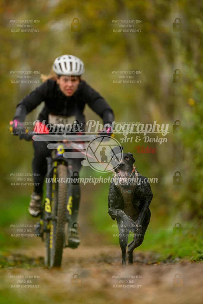 MompixPhotography_20TSB_E6_Bike-76 | PayLife