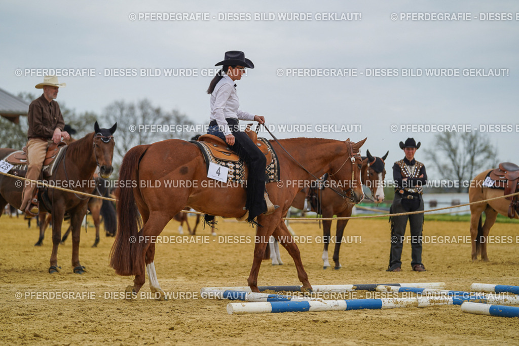 DSC02535 | Pferdegrafie