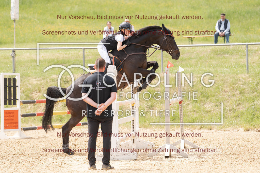 DSC06639 | Springturnier_Ehingen_Mai_2026, Paulina_Dudik, Laerke