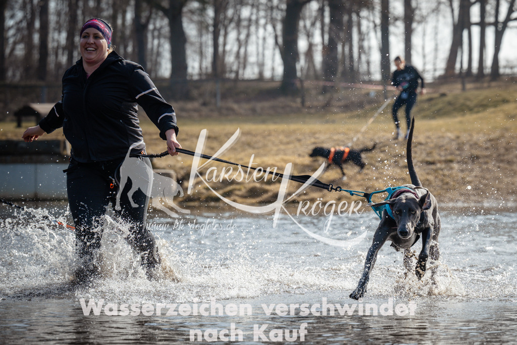 1102_ZZ91701 | kk-dogfotos