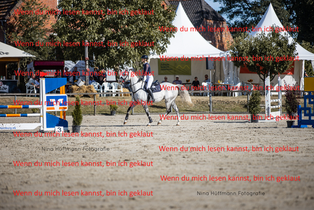 BK1A7176 | Turnierbilder Turnierfotos Nina Hüffmann Turnierfotografie Pferdefotografie Tierzeichnung Haustierzeichnung Pferdezeichnung Hundezeichnung Videograf  - Realisiert mit Pictrs.com