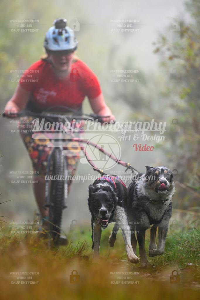 MompixPhotography_20TSB_E4_DS2-5 | PayLife