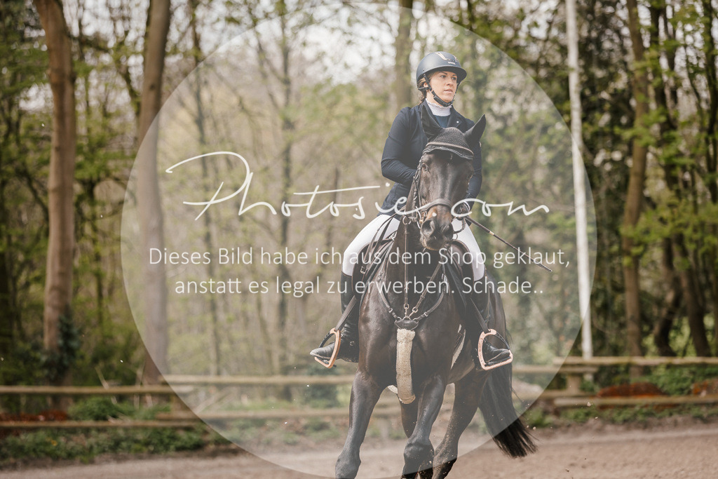 3I6A4288 | Stimmungsvolle Portraits und Reitsportfotografie im Ruhrgebiet und im Münsterland.

Pferdefotografie, Hundefotografie, Tierfotografie, Reportagen, Portraits von Tier und Mensch, Turnierfotografie in Bochum, Recklinghausen, Marl, Haltern am See, Dülmen.. - Realisiert mit Pictrs.com