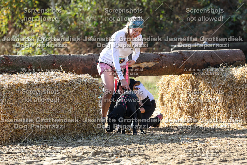 Dog Paparazzi - Strongdog 10-25-6016 | Dog Paparazzi Jeanette Grottendiek Fotografie & Videografie - Realisiert mit Pictrs.com