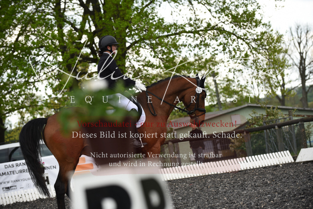 20230513_JK-Röhrsdorf-15-567 | Pferde- und Turnierfotografie in Westsachsen. Pferdeportraits, Auftragszeichnungen und intuitive Kunst.