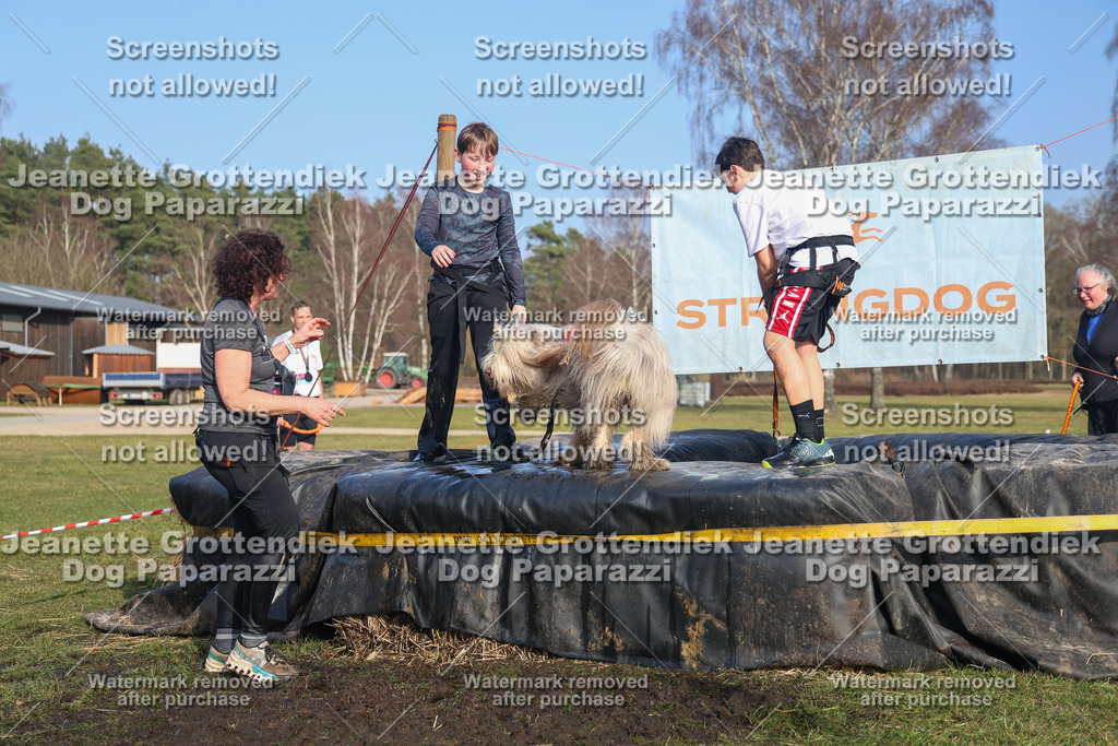 Dog Paparazzi - Strongdog North Mrz26-3524 | Dog Paparazzi Jeanette Grottendiek Fotografie & Videografie - Realisiert mit Pictrs.com