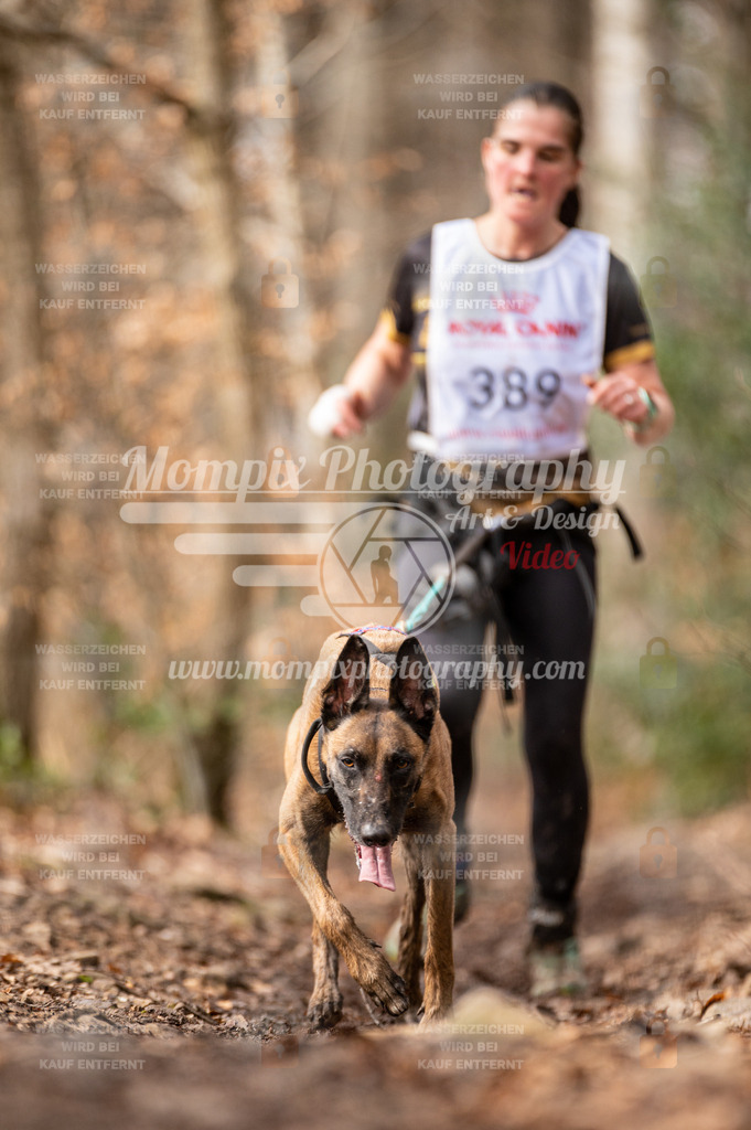 SPA_2023_DIM_CCK-245 | PayLife