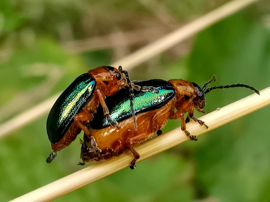 PSX_20230903_224752 | mtkfoto_ - Realisiert mit Pictrs.com