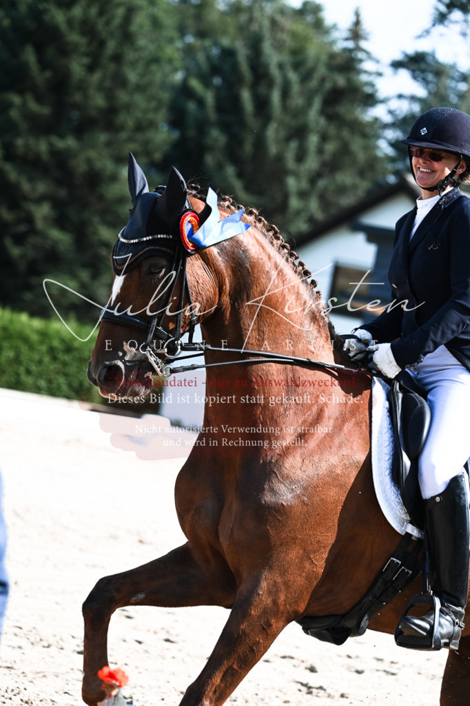DSC_3440 | Pferde- und Turnierfotografie in Westsachsen. Pferdeportraits, Auftragszeichnungen und intuitive Kunst.