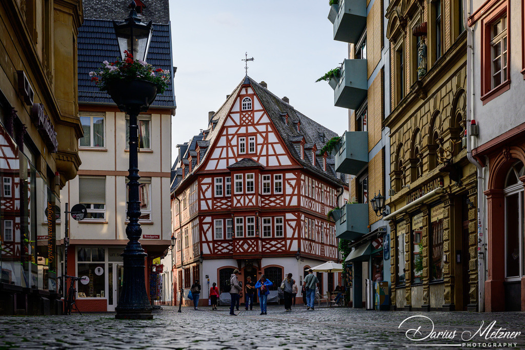 DSC_3383 | Fotografien, Fotos und Bilder aus Mainz, Frankfurt, Wiesbaden und anderen Orten auf der Welt - Fotografiert von Darius Metzner