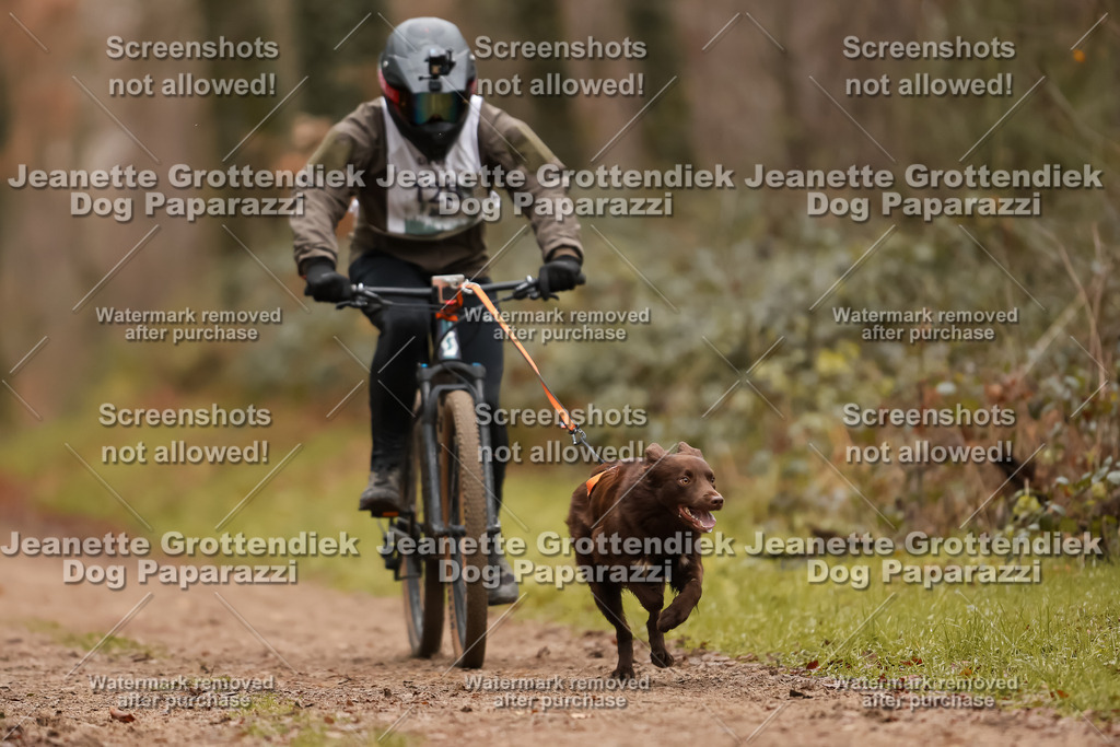 Dog Paparazzi - Speedhunter Mannheim  2025-359 | Dog Paparazzi Jeanette Grottendiek Fotografie & Videografie