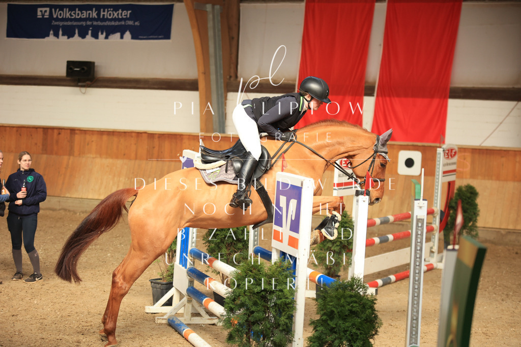 IMGT0450 | pl-fotografie