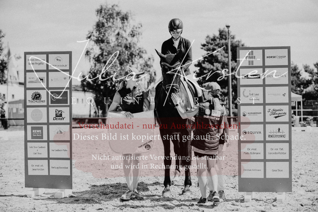 DSC_8811 | Pferde- und Turnierfotografie in Westsachsen. Pferdeportraits, Auftragszeichnungen und intuitive Kunst.