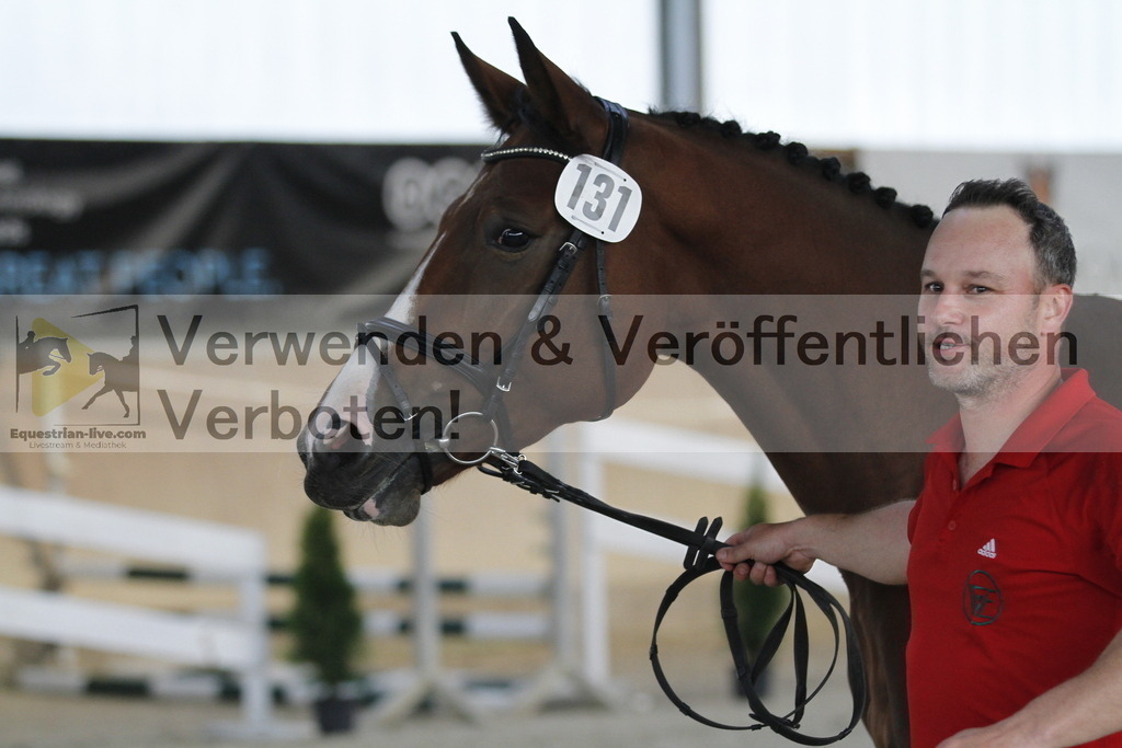 _MG_0805 | equestrian-live-com