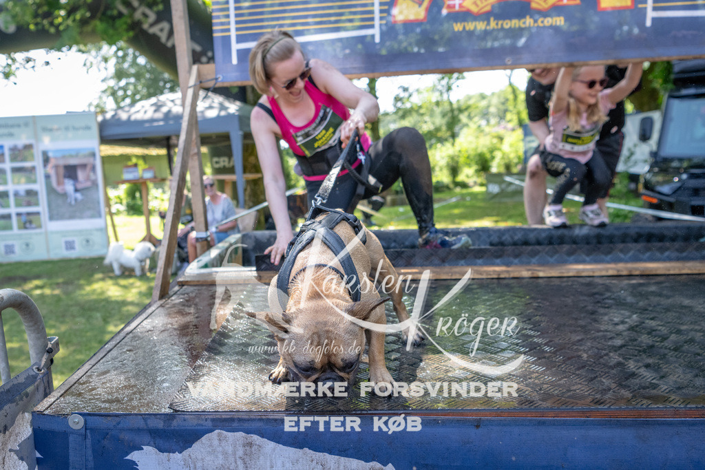 1434_ZZ94472 | kk-dogfotos