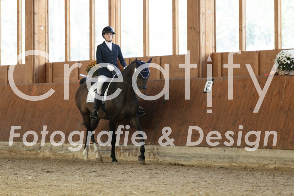 IMG_4726 | Creatify Fotografie