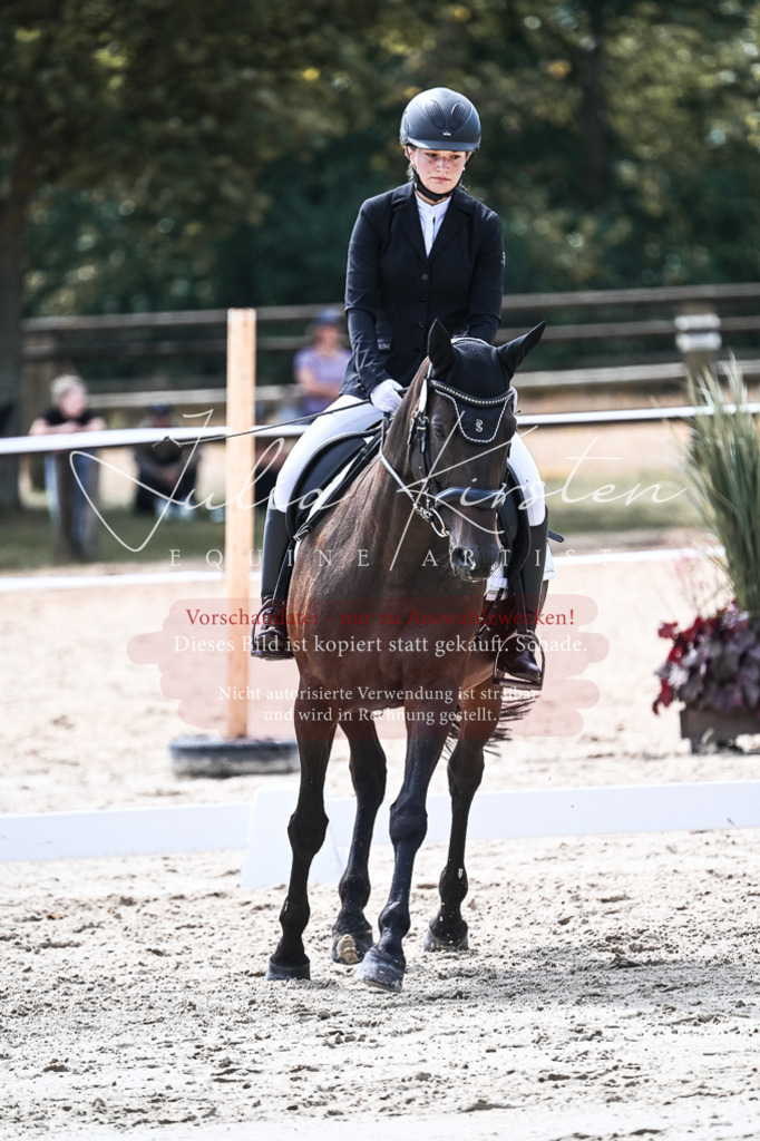 DSC_5247 | Pferde- und Turnierfotografie in Westsachsen. Pferdeportraits, Auftragszeichnungen und intuitive Kunst.