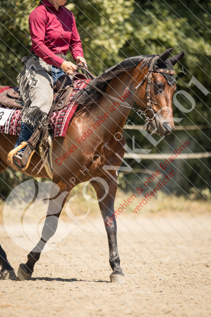 IMG_9836 | Sport-, Event- und Tierfotos in Profiqualität. Einfach auswählen, bestellen und herunterladen. Dein Moment – perfekt festgehalten.
