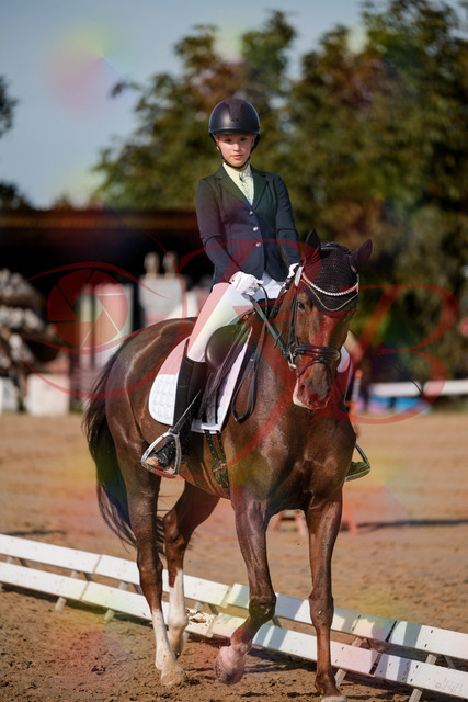 2026_10_03_Siefer-Hof_115009_Z63_28765132 | Professionelle Reitsport-, Turnier- und Eventfotografie von Robert Broda. Galerien mit ausgewählten und bearbeiteten Bildern direkt online ansehen und bestellen.
