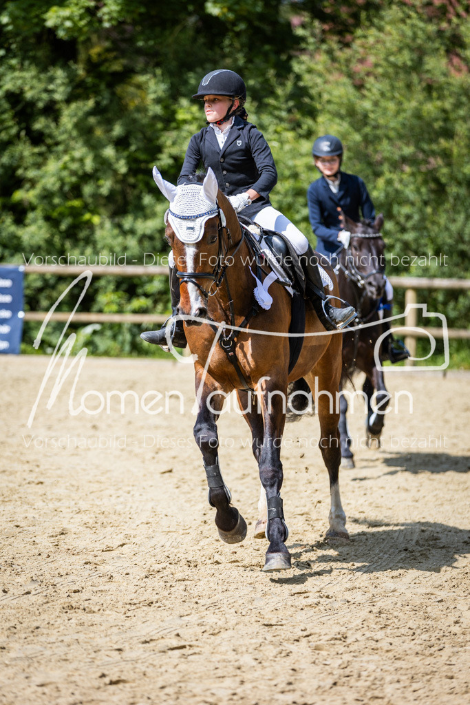 Donop24-SprRW-062 | MomenTaufnahmen Pferdesportfotos